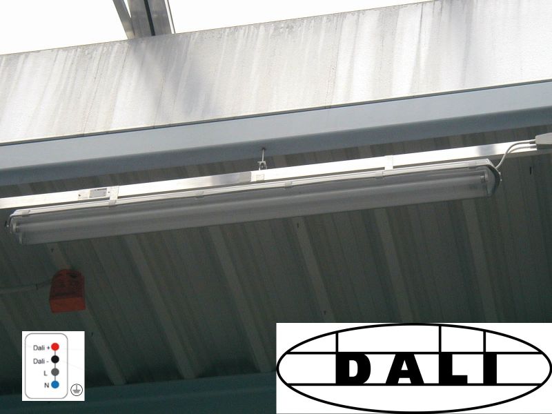 DALI Lighting Busbar Graziadio UK Busbar